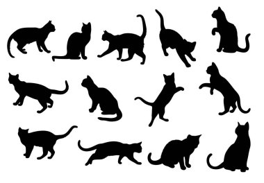 Dinamik Pozisyon Vektör Biçiminde 12 Kara Kedi Silüeti.