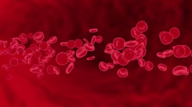 Kırmızı tünel boyunca akan kırmızı kan hücrelerinin animasyonu 4K 3D Alpha Channel arka planı.