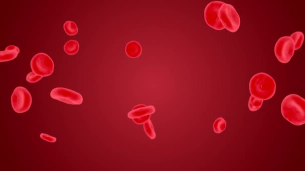 İnsan kanındaki kırmızı kan hücreleri 4K 3D Alfa Kanalı Canlandırması. — Stok video