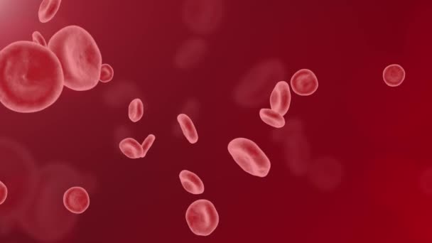 Red blood cells Flow Medical Health Loop 3D 4K background — Stock Video