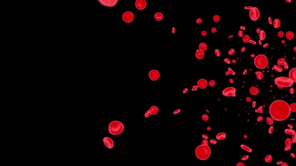 4K 3D vörös vérsejtek lebegő emberi testben Mozgókép 4K 3D Alpha Channel hurok Animáció. — Stock videók