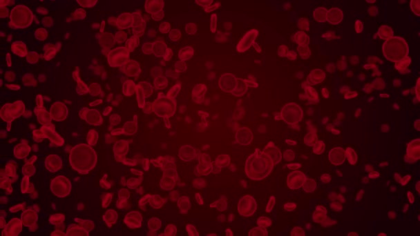 Globules rouges circulant dans la veine ou l'artère 4K 3D Alpha Channel loop Animation. — Video