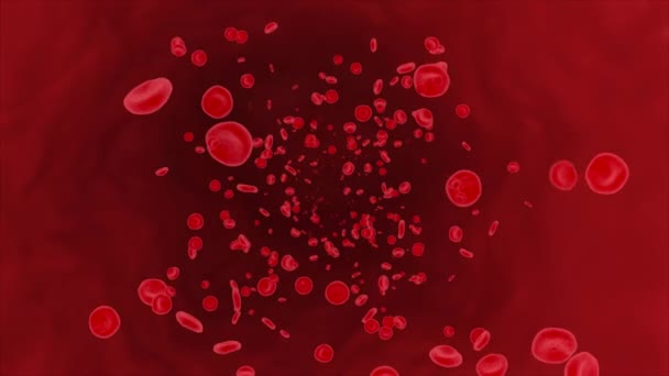 Αφηρημένα ερυθρά αιμοσφαίρια, επιστημονικά ή ιατρικά ή μικροβιολογικά 4K 3D Alpha Channel loop Animation. — Αρχείο Βίντεο