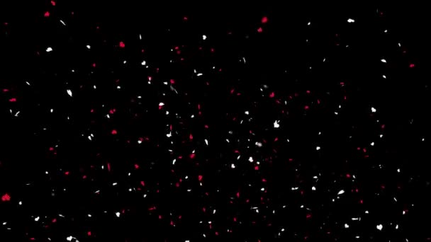 Confetti Party Popper Explosies Animatie — Stockvideo