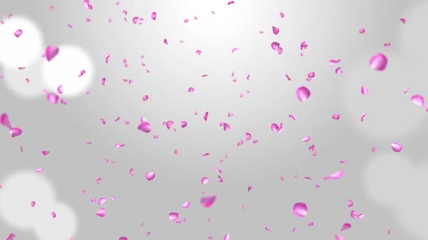 Bloemblaadjes vallen in de camera, Roze roos, Stinkende bloemen, Stof, Glitter, exploderende Loop Achtergrond. — Stockvideo