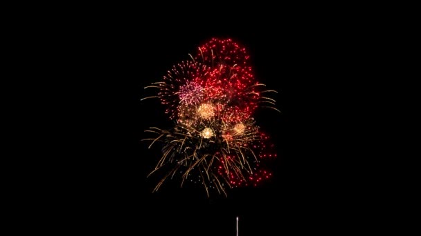 Animación colorida del lazo del efecto de iluminación de los fuegos artificiales. Concepto de celebración. Luces del festival Diwali. — Vídeos de Stock