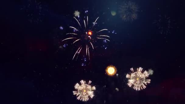 Schöne bunte Feuerwerk glänzende Anzeige bei Nacht Schleife Hintergrund. 4. Juli, Festival, Jubiläum, — Stockvideo
