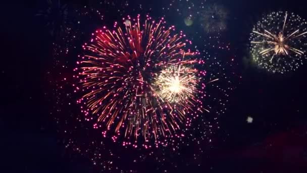 Fuegos artificiales reales 4k en el lazo de fondo negro Sky on Futuristic Fireworks Festival show — Vídeo de stock