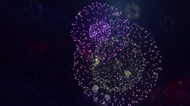 カーニバルの夜、アニメーションループの背景を示す祭りの場所花火、ハッピー誕生日 — ストック動画