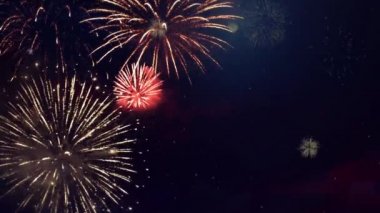Gece Döngüsü Arkaplanında Güzel Renkli Havai Fişekler Parlak Gösterimi. 4 Temmuz, festival, yıldönümü,