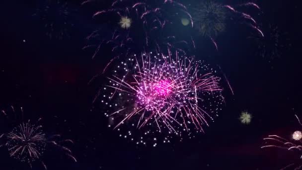 4K Abstract Loop senza soluzione di continuità del vero sfondo dello spettacolo di fuochi d'artificio. — Video Stock