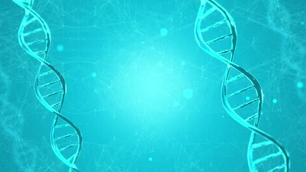 Digital DNA genoma dupla hélice Loop animação 4k 3D Fundo. — Vídeo de Stock