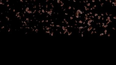 4K Roasted Coffee Beans Falling Down in Slow Motion on Brown Loop Background.