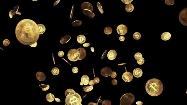 Gold bitcoins fall slow motion on pile Green Screen Loop Animation Background. — Stock video