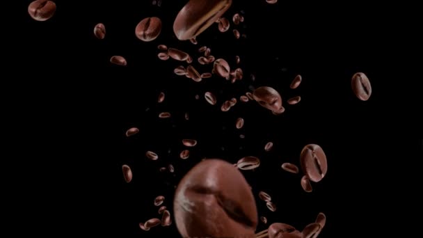 Fliegende viele geröstete Kaffeebohnen auf schwarzem Green Screen Loop Animation Hintergrund. — Stockvideo