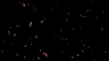 Düşen kahve çekirdeklerinin yüksek kaliteli animasyonu 4K 'de yavaş çekimde döngü oluşturur. Yeşil Ekran.