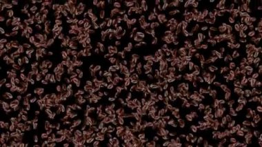 4K 3D kavrulmuş kahve çekirdekleri. Kahve çekirdekleri yavaş çekimde düşüyor..