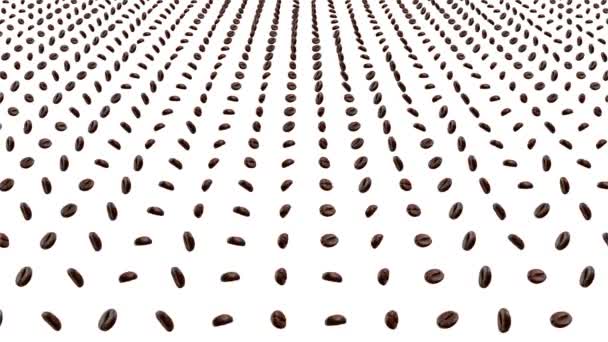 4K Rotating many coffee beans on white loop background. — Stock Video