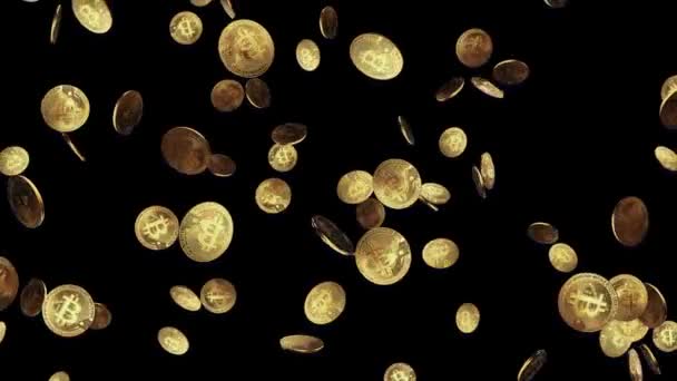 Gros plan de pièce de Bitcoin d'or sur fond de graphiques d'affaires avec espace de copie. — Video