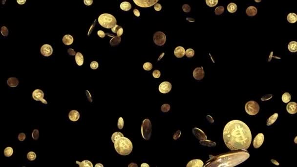 Monedas de oro con símbolo del dólar cayendo Negro Verde Pantalla Loop Animación Fondo. — Vídeos de Stock