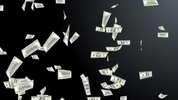 Digital animation av regna pengar på Black Loop bakgrund. — Stockvideo