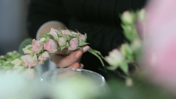 Florist steg i glasess — Stockvideo