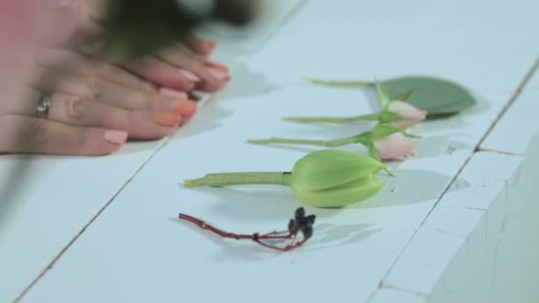 Florist Visa blomma — Stockvideo