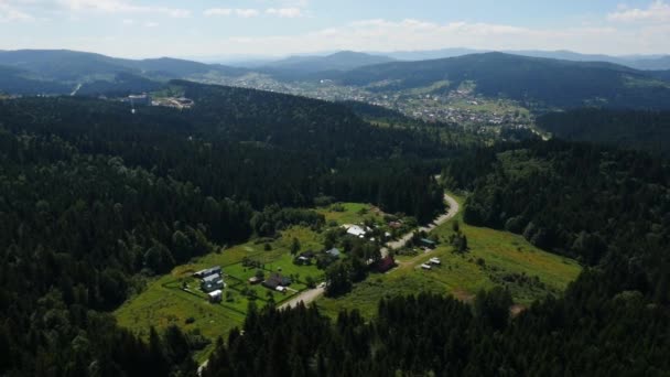 Aerial The village in the pine fores — Stock Video