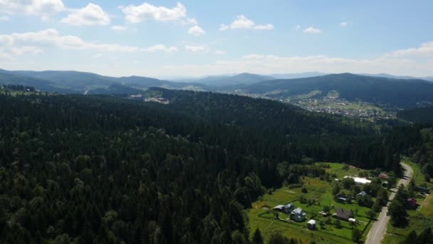 Luftkurort im Kiefernwald — Stockvideo