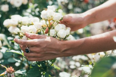 Elinde çiçek tutan güzel bir genç kız