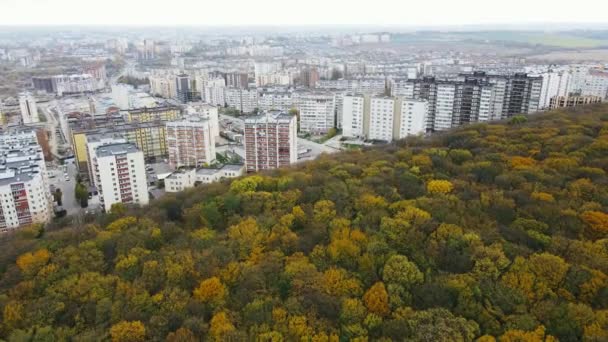 Voo aéreo sobre uma grande floresta de outono com vista para os edifícios da cidade — Vídeo de Stock