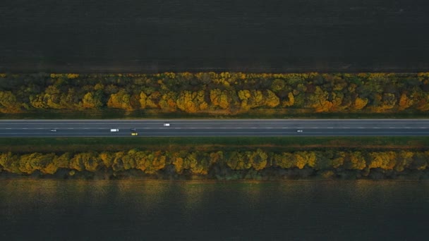 Le auto stanno guidando su una nuova strada diritta con indicazioni intorno agli alberi gialli di autunno — Video Stock