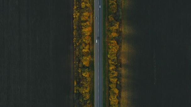 Auta jedou po nové rovné silnici se značkami kolem žlutých podzimních stromů — Stock video