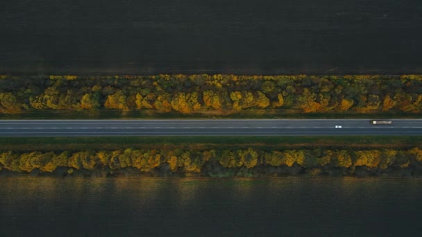 Le auto stanno guidando su una nuova strada diritta con indicazioni intorno agli alberi gialli di autunno — Video Stock