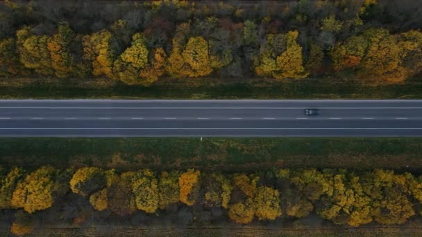 Автомобили едут по новой прямой дороге с разметками вокруг желтых осенних деревьев — стоковое видео