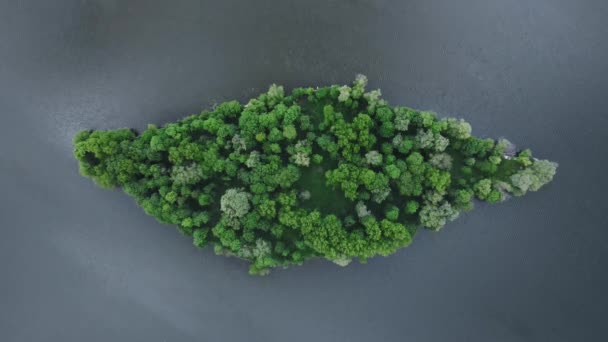 Vista superior de una isla desierta en el océano con árboles verdes y agua clara — Vídeos de Stock