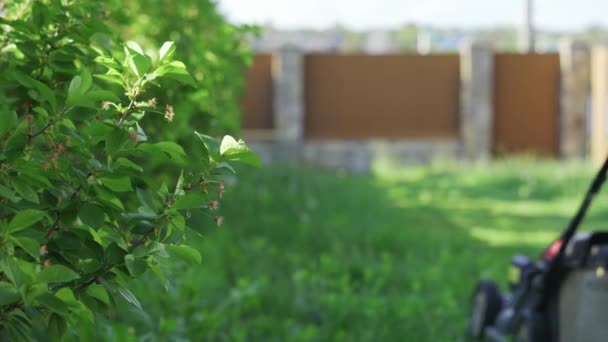 Человек с электрической газонокосилкой в саду косит траву возле деревьев — стоковое видео