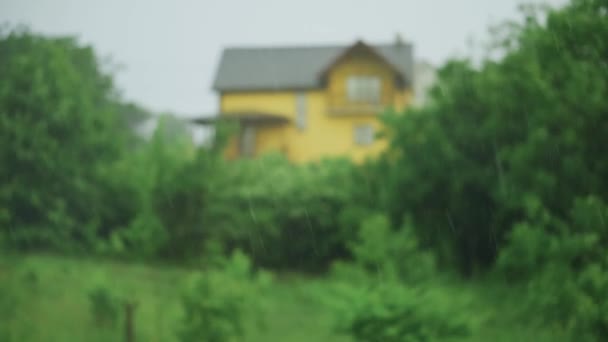 El mal tiempo, la fuerte lluvia de verano y el viento con vistas a la casa y los árboles — Vídeos de Stock