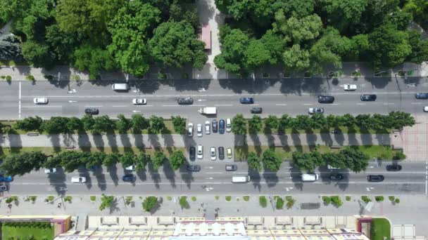 Vue aérienne d'une route de circulation achalandée avec des voitures près d'un parc dans la ville — Video