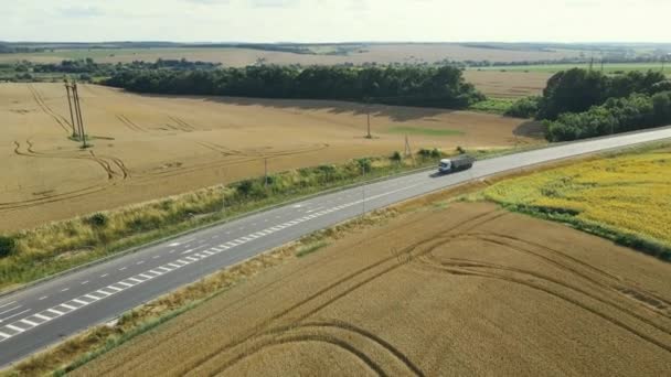 Červený náklaďák s bílým přívěsem jezdí na venkovské silnici poblíž žlutého pšeničného pole — Stock video