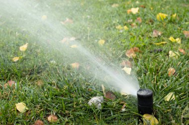 Yeşil çimlerin üzerinde akan fıskiye püskürtücü jetin sıkı görüntüsü, donmuş damlacıklar. Sulama, bahçe bakımı, su basıncı ve peyzaj hizmetleri için harika..