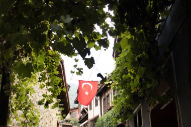 Hilal ve yıldızlı kırmızı Türk bayrağı yeşil asma yaprakları ve geleneksel evlerle çerçevelenmiş dar tarihi bir sokakta asılı, açık gökyüzü kopya alanı, kültür, miras, eğitim, etkinlikler, seyahat için.