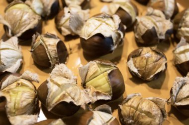 Taze toplanmış kestaneler evde pişirilip pişirme tepsisinde kızartılıyor. Sonbahar ve kış menüleri için ılık mevsimlik gıda arka planı.