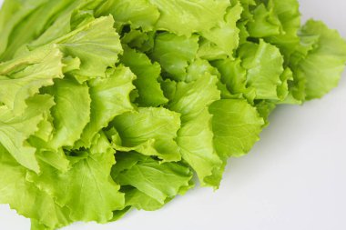 Temiz beyaz bir arka planda, taze, fırfırlı kenarları ile yeşil yaprak marul bir demet yakın plan.