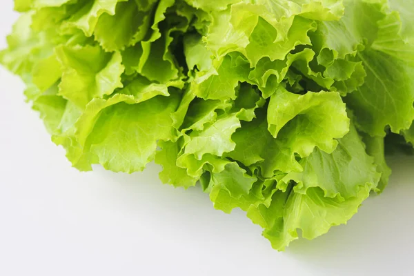 Temiz beyaz bir arka planda, taze, fırfırlı kenarları ile yeşil yaprak marul bir demet görüntüsü.