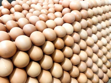 Doğal ve kümelenmiş şekilde sıralanmış açık kahverengi ve beyaz tavuk yumurtalarının yan görüntüsü. Yumurtalar, taze ve organik kalitelerini vurgulayarak renk ve dokuda ince varyasyonlar sergiler..