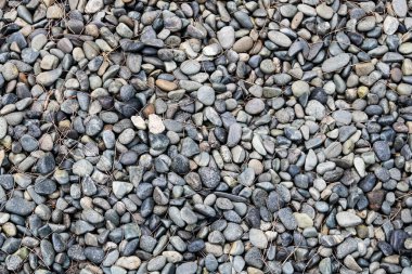 Yumuşak nehir taşları ve çakıl taşlarından oluşan tam kare, dokusal bir yakın çekim. Gri ve siyah doğal tonlarda yuvarlak taşların yoğun dizilişi, küçük kurumuş otlarla karışmıştır..