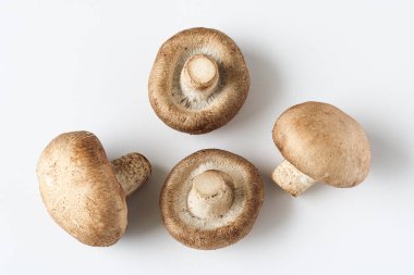 Beyaz arka planda dört taze Shiitake mantarı. Bu popüler mutfak mantarları Asya ve uluslararası yemeklerde zengin, lezzetli ve umami tadında olarak bilinir..