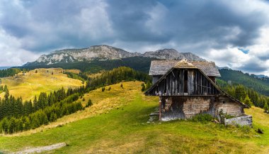 A stunning autumn landscape in the Bucegi Mountains, showcasing the Coltii Tapului mountain ridge. The vibrant fall colors paint the rugged terrain