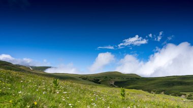 A stunning autumn landscape in the Bucegi Mountains, showcasing the Coltii Tapului mountain ridge. The vibrant fall colors paint the rugged terrain